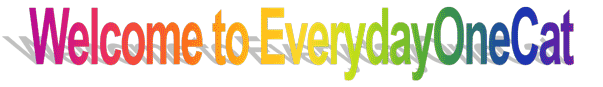welcome to everydayonecat